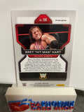 Bret "Hit Man" Hart  WWE 2022 Panini Prizm Silver Prizm #198