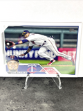 Luis Arraez Twins 2023 Topps #217