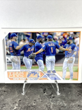 Mets 2023 Topps #291