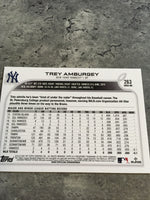 Trey Amburgey Yankees 2022 Topps Rookie #263