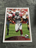 Adrian Wilson Cardinals 2009 Topps #99