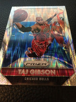 Taj Gibson Bulls 2015-2016 Prizm Flash Prizms #193