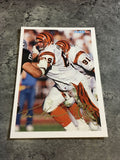 Tim Krumrie Bengals 1994 Fleer #81
