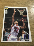 P.J. Brown Nets 1994-1995 UD Collector's Choice #74