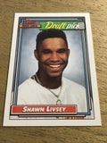 Shawn Livsey Astros 1992 Topps Rookie #124